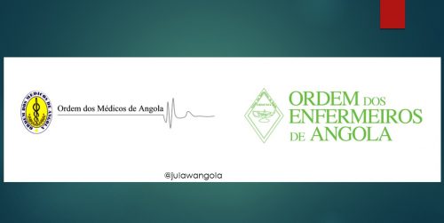 As Ordens dos Médicos e dos Enfermeiros: Pessoas Colectivas de Utilidade Pública ou Associações Públicas? Próspero de Almeida