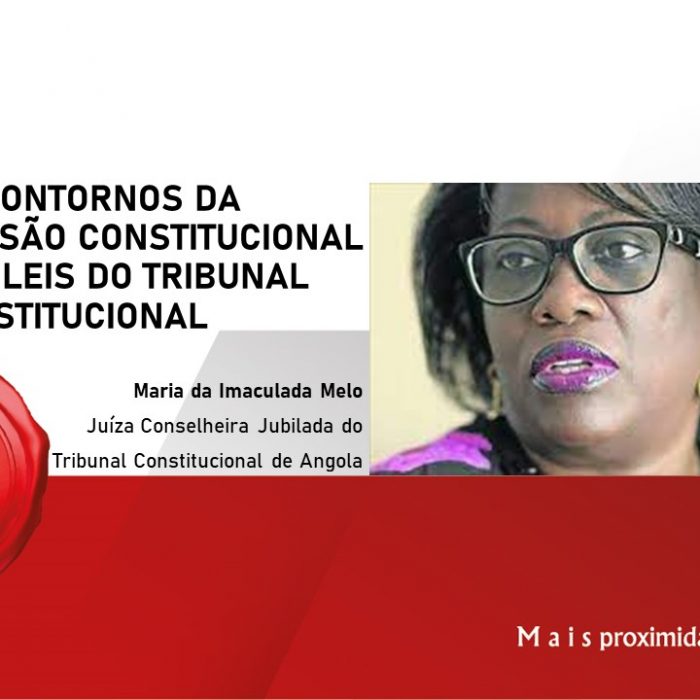 Os contornos da revisão constitucional e das leis do tribunal constitucional