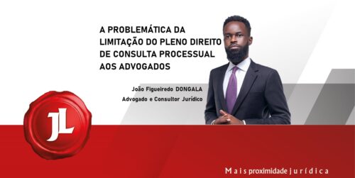 A PROBLEMÁTICA DA LIMITAÇÃO DO PLENO DIREITO DE CONSULTA PROCESSUAL AOS ADVOGADOS.