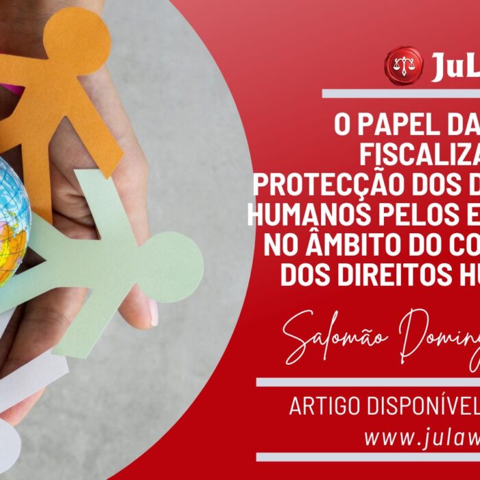 O Papel da ONG na Fiscalização da Protecção dos Direitos Humanos